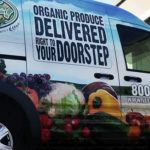 Vehicle Wraps, Inc. - Cargo Van Wrap
