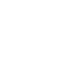 qode-np-item