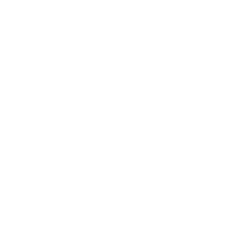 qode-np-item
