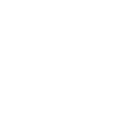 qode-np-item