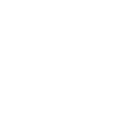qode-np-item