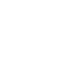 qode-np-item